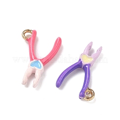 Подвески из эмали и сплава&nbsp;FIND-A060-02A-G