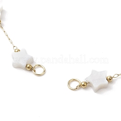 Цепочки из нержавеющей стали 316 со скрепками&nbsp;AJEW-JB01251