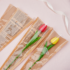 2 пакет 2 стиля подарочные пакеты из крафт-бумаги&nbsp;AJEW-FH0003-94