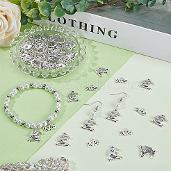 2 стили подвески из сплава в тибетском стиле&nbsp;PALLOY-SC0012-66