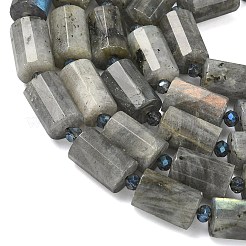 Природные лабрадорита бисер нитей&nbsp;G-G453-E10-10x14mm