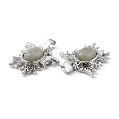 Природные подвески лабрадорита&nbsp;G-P498-03P-15