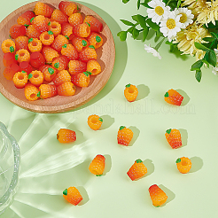 Украшения из смоляного апельсина&nbsp;DJEW-ME0001-03B