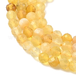 Природные желтые опал бусины пряди&nbsp;G-F509-07-3mm-02