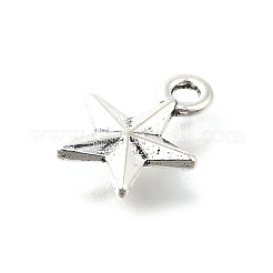 Сплавочные подвески тибетского стиля&nbsp;PALLOY-R157-01AS-02