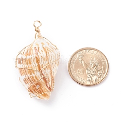 Большие подвески из натуральных ракушек&nbsp;PALLOY-JF01204