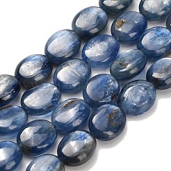 Натуральный кианитовые бисер пряди&nbsp;G-H335-D01-8x10mm-A