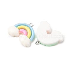 Подвески из непрозрачной смолы&nbsp;RESI-K048-05