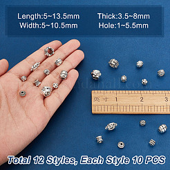 120шт 12 стиля бусины из сплава в тибетском стиле&nbsp;FIND-AR0004-66