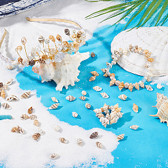 180 г натуральных бусин из морских ракушек&nbsp;BSHE-PH0001-41