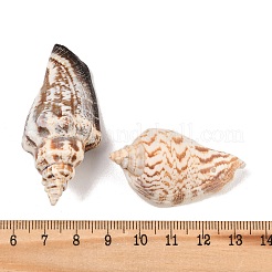 Натуральные раковины бисера&nbsp;BSHE-O007-57