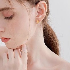 24 шт. 12 шт. фурнитура для сережек-гвоздиков из нержавеющей стали 304&nbsp;STAS-FH0001-76