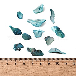 Окрашенные натуральные перламутровые ракушки&nbsp;BSHE-O007-10A