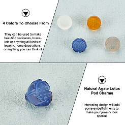 8 шт. 4-х цветные подвески в виде стручка лотоса из натурального агата&nbsp;G-OC0004-72