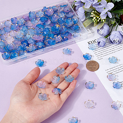 200 шт. акриловые колпачки для бусин&nbsp;OACR-SC0001-74