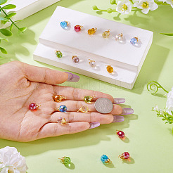 20шт стеклянные подвески&nbsp;PALLOY-TA00240