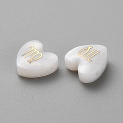 5шт натуральные белые бусины из ракушек&nbsp;BSHE-TAC0004-02H