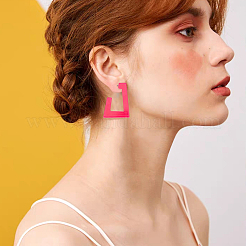 2 комплект из 2 акриловых сережек-гвоздиков&nbsp;EJEW-AN0004-08