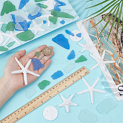 Украшения дисплея смолы&nbsp;AJEW-OC0014-09