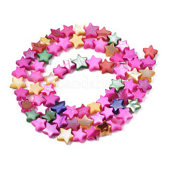 Нити бусин из натуральных пресноводных ракушек&nbsp;SHEL-S278-022C