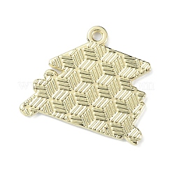 Подвески из сплава с эмалью на тему выпускного&nbsp;ENAM-G226-01C