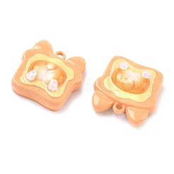 Подвески из сплава краски для выпечки&nbsp;FIND-G109-07A