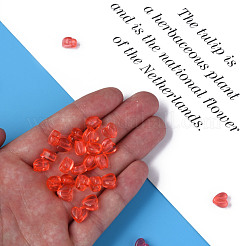 Прозрачные акриловые бусины&nbsp;MACR-S373-95-B06