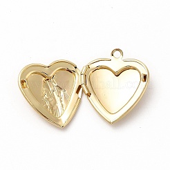 Подвески латуни медальон&nbsp;ZIRC-M120-02G