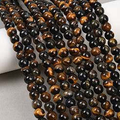 Природных тигровый глаз бисер нитей&nbsp;G-F591-18-8mm-08