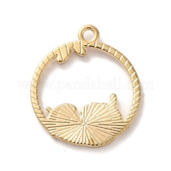 Подвески из эмали и сплава&nbsp;PALLOY-F297-01B