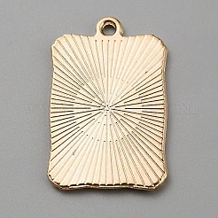 Подвески из эмали и сплава&nbsp;ENAM-WH0064-24J