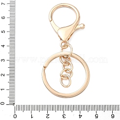 Сплава брелок застежки&nbsp;FIND-C084-10KCG