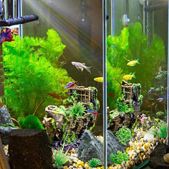 9шт 9 стиля пластиковых искусственных аквариумных растений&nbsp;DJEW-DR0001-10