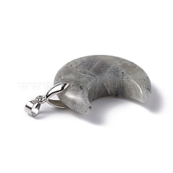 Природные подвески лабрадорита&nbsp;G-Z022-04L