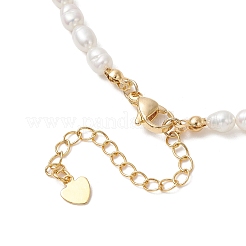 Ожерелья из натурального культивированного пресноводного жемчуга для женщин&nbsp;NJEW-JN05940