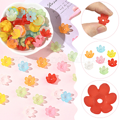 600 шт. матовые акриловые колпачки для бусин&nbsp;MACR-SC0002-46