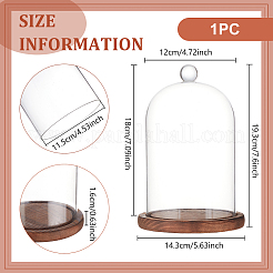 Стеклянный купол&nbsp;AJEW-WH0270-199