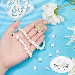 2 нить столбик натуральный трохус ракушки бусины нити&nbsp;BSHE-BC0001-01