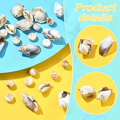 218шт акриловые бусины&nbsp;OACR-YW0002-17