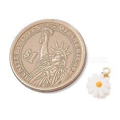 4 шт. 4 варианта подвесок в виде цветов из натуральных пресноводных ракушек с эмалью и латунными креплениями&nbsp;PALLOY-JF04895