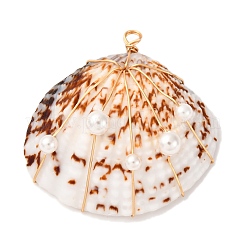 Подвески из медной проволоки из натуральной раковины моллюска&nbsp;PALLOY-TA00268