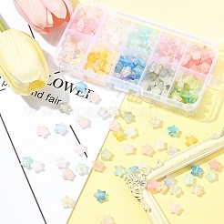 300 шт. 10-х цветные матовые акриловые подвески&nbsp;OACR-FS0004-09