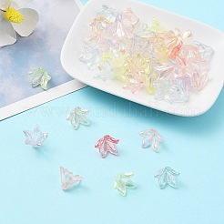 Прозрачные колпачки акриловая бисера&nbsp;OACR-FS0001-49