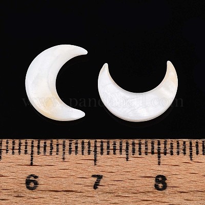 Натуральные пресноводные ракушки&nbsp;SHEL-S267-04B-1