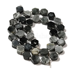 Натуральный орлиный глаз бусы G-P534-A14-02