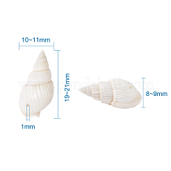 Натуральные бусины из ракушек-трубочек BSHE-KS0001-01