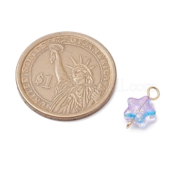 10 шт. 10-цветные прозрачные стеклянные подвески-звездочки с распылительной покраской&nbsp;PALLOY-JF03036