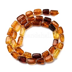 Нити бусин из натурального янтаря градиентного цвета&nbsp;G-F803-D01-04