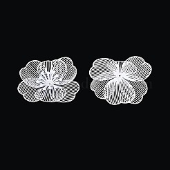 Окрашенные распылением железные колпачки&nbsp;IFIN-N013-05D