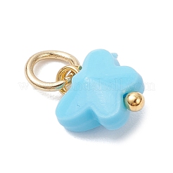 Непрозрачные акриловые подвески&nbsp;PALLOY-JF04506-02